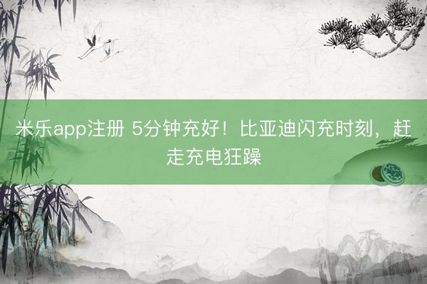 米乐app注册 5分钟充好!比亚迪闪充时刻,赶走充电狂躁