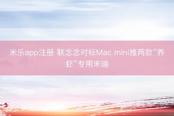米乐app注册 联念念对标Mac mini推两款“养虾”专用末端