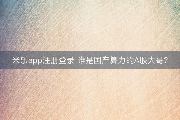 米乐app注册登录 谁是国产算力的A股大哥？