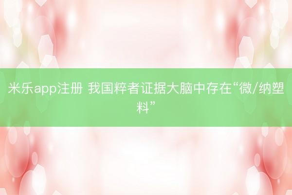 米乐app注册 我国粹者证据大脑中存在“微/纳塑料”