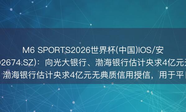 M6 SPORTS2026世界杯(中国)IOS/安卓官方下载 兴业科技(002674.SZ)：向光大银行、渤海银行估计央求4亿元无典质信用授信，用于平日谋划