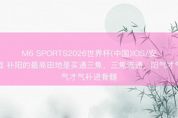 M6 SPORTS2026世界杯(中国)IOS/安卓官方下载 补阳的最高田地是买通三焦,三焦流通,阳气才气补进骨髓