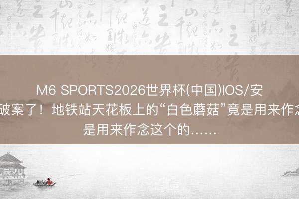 M6 SPORTS2026世界杯(中国)IOS/安卓官方下载 破案了！地铁站天花板上的“白色蘑菇”竟是用来作念这个的……