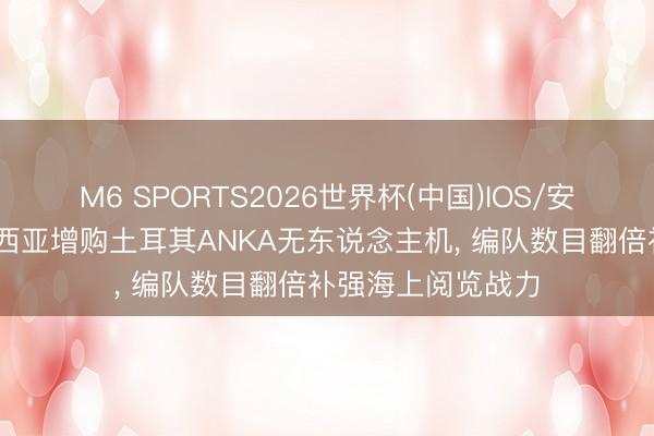 M6 SPORTS2026世界杯(中国)IOS/安卓官方下载 马来西亚增购土耳其ANKA无东说念主机, 编队数目翻倍补强海上阅览战力